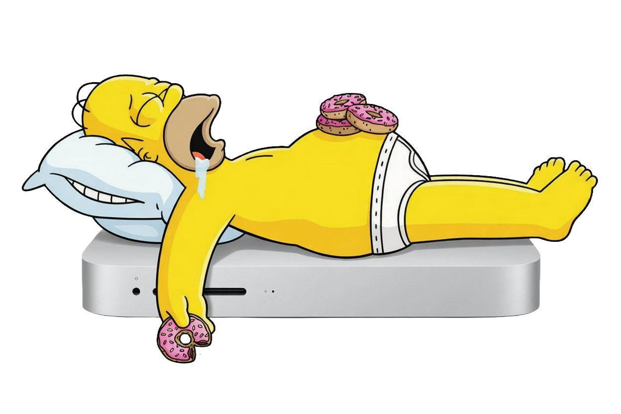 Homer sleeping on Mac mini